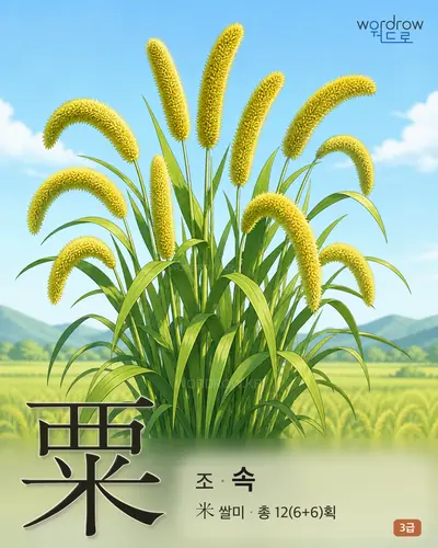 粟 (조 속) - 3급 썸네일