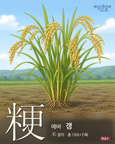 粳 (메벼 갱) - 특급Ⅱ 썸네일