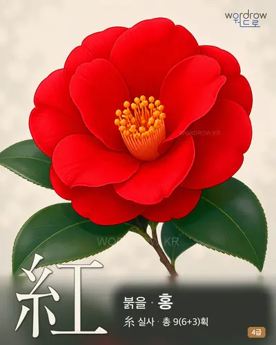 紅 (붉을 홍) - 4급 한자 일러스트 카드