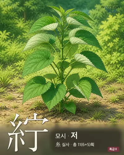 紵 (모시 저) - 특급Ⅱ 한자 일러스트 카드