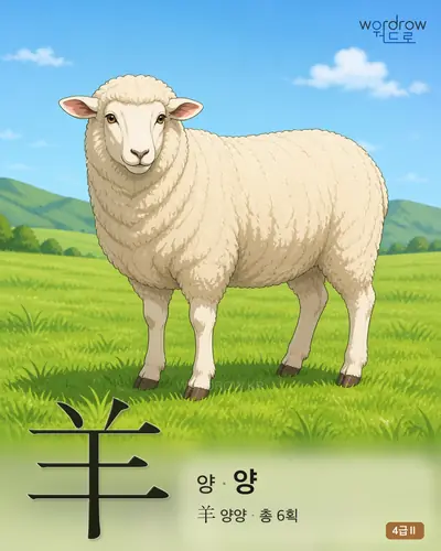 羊 양