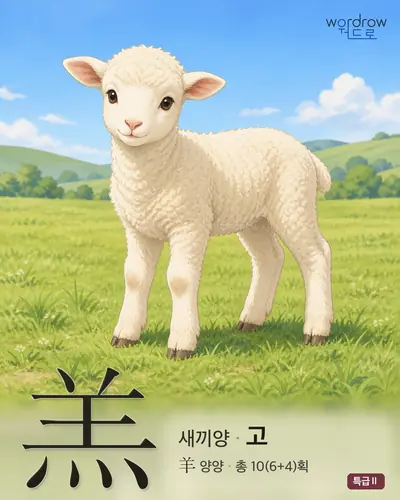 羔 (새끼양 고) - 특급Ⅱ 썸네일