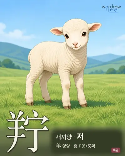 羜 (새끼양 저) - 특급 한자 일러스트 카드