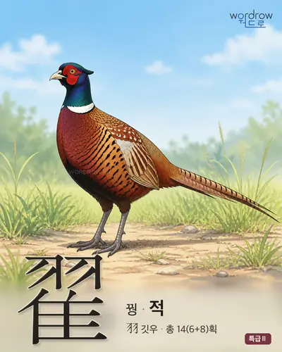 翟 (꿩 적) - 특급Ⅱ 한자 일러스트 카드