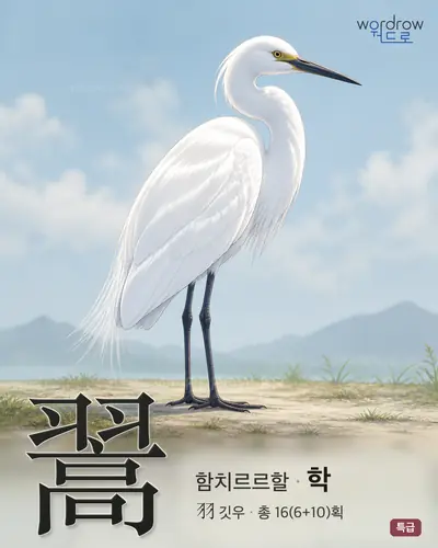 翯 (함치르르할 학) - 특급 한자 일러스트 카드