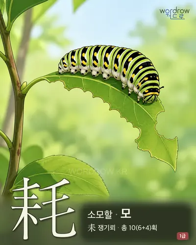 耗 (소모할 모) - 1급 썸네일