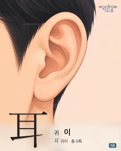 耳 귀