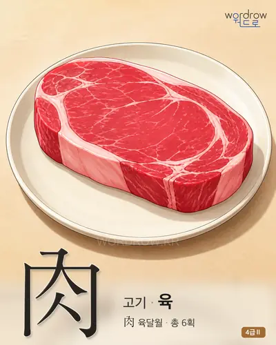 肉 고기