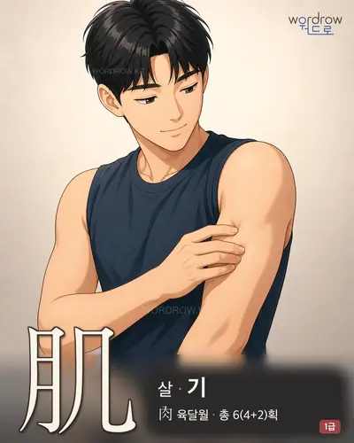 肌 (살[膚肉] 기) - 1급 썸네일