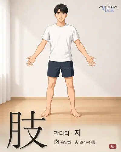 肢 (팔다리 지) - 1급 썸네일