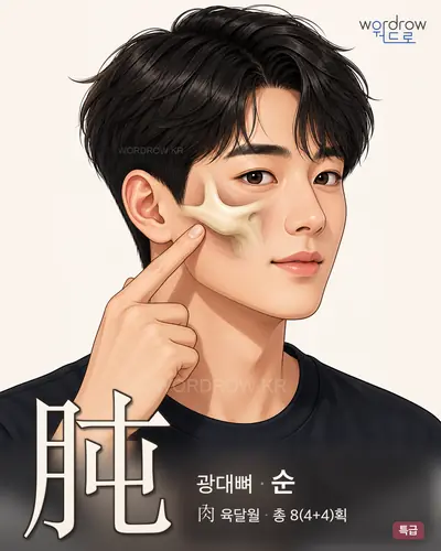 肫 (광대뼈 순) - 특급 한자 일러스트 카드