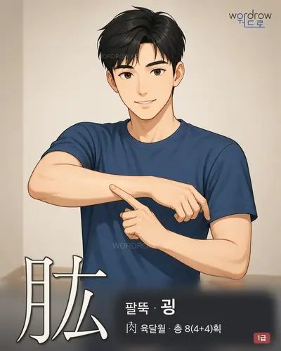 肱 (팔뚝 굉) - 1급 썸네일