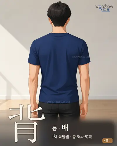 背 (등 배) - 4급Ⅱ 썸네일