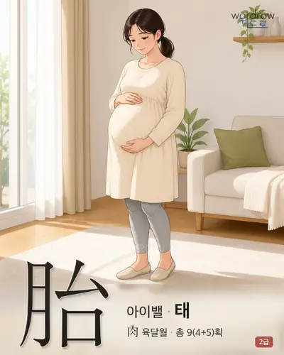 胎 (아이밸 태) - 2급 한자 일러스트 카드