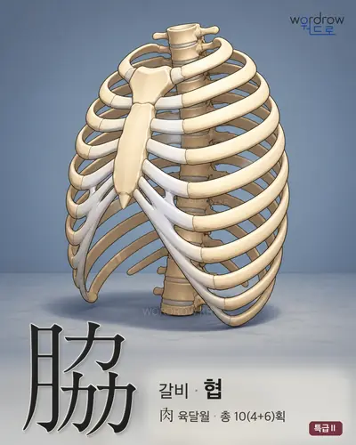 脇 연상 그림