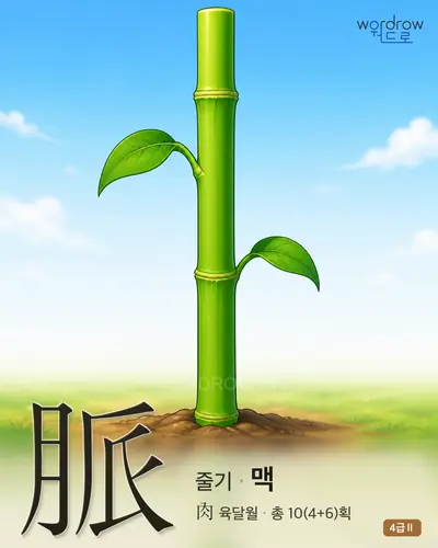 脈 줄기