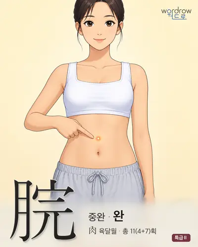 脘 (중완[胃腑] 완) - 특급Ⅱ 한자 일러스트 카드