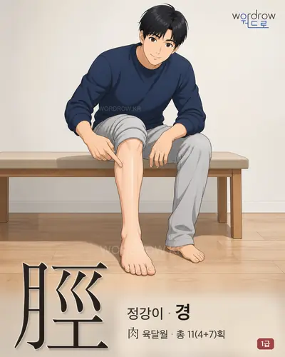 脛 (정강이 경) - 1급 썸네일