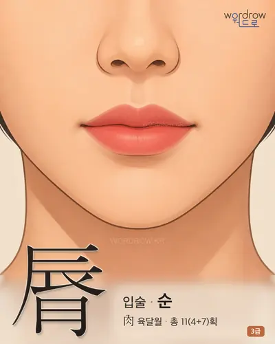 脣 (입술 순) - 3급 썸네일
