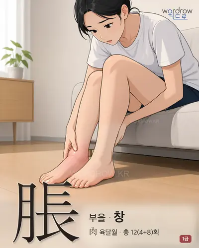 脹 (부을 창) - 1급 썸네일