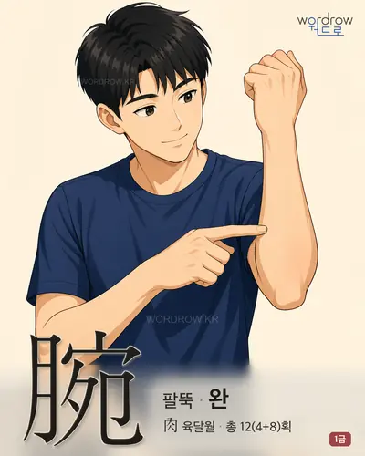腕 연상 그림