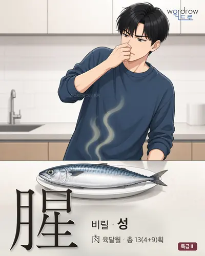 腥 (비릴 성) - 특급Ⅱ 한자 일러스트 카드