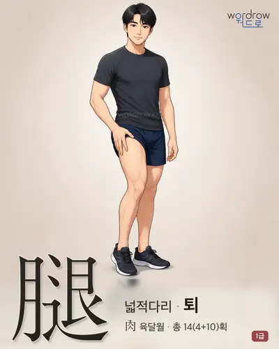 腿 (넓적다리 퇴) - 1급 썸네일