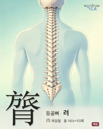 膂 연상 그림