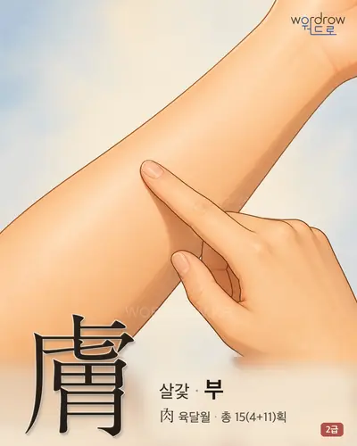 膚 (살갗 부) - 2급 썸네일