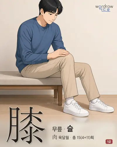 膝 (무릎 슬) - 1급 썸네일