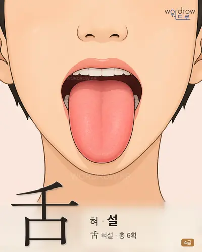 舌 (혀 설) - 4급 썸네일
