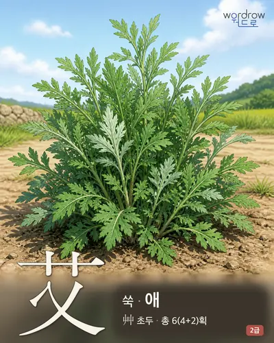艾 (쑥 애) - 2급 썸네일
