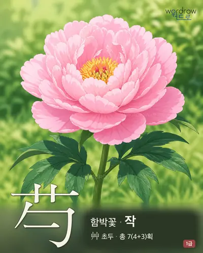 芍 (함박꽃 작) - 1급 한자 일러스트 카드