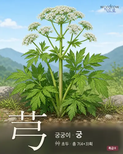 芎 (궁궁이 궁) - 특급Ⅱ 썸네일