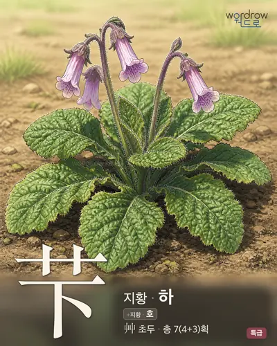 芐 (지황 하) - 특급 썸네일