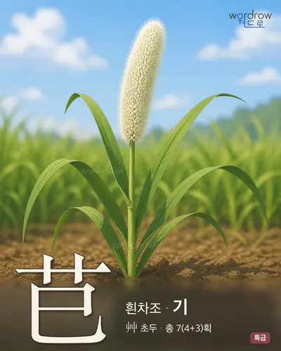 芑 (흰차조 기) - 특급 썸네일