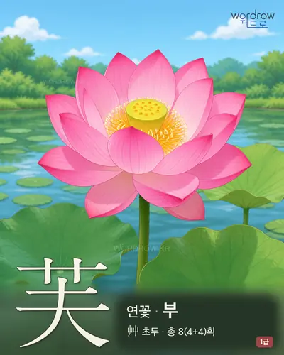 芙 (연꽃 부) - 1급 썸네일