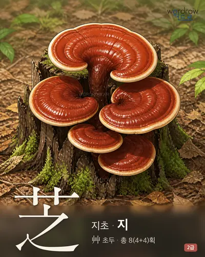 芝 (지초 지) - 2급 썸네일