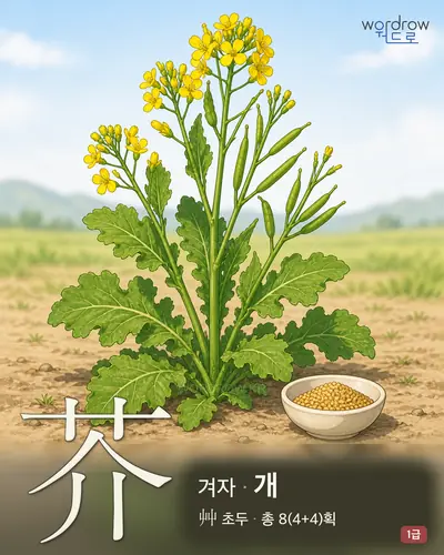 芥 (겨자 개) - 1급 썸네일