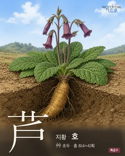 芦 (지황 호) - 특급Ⅱ 한자 일러스트 카드