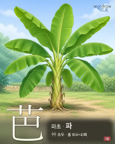 芭 (파초 파) - 1급 한자 일러스트 카드