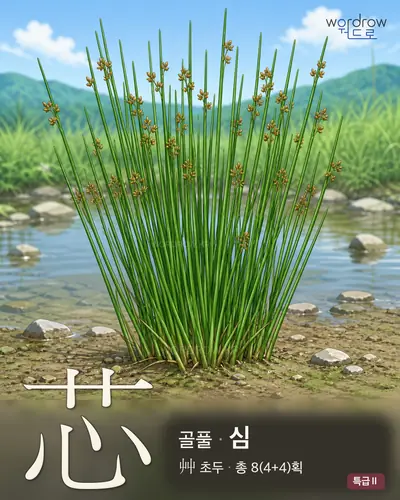 芯 (골풀 심) - 특급Ⅱ 썸네일