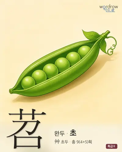 苕 연상 그림