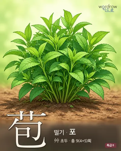 苞 (떨기 포) - 특급Ⅱ 썸네일