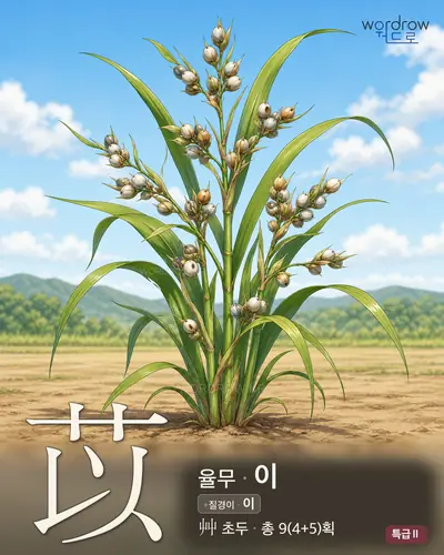 苡 (율무 이) - 특급Ⅱ 썸네일