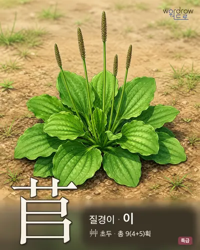 苢 연상 그림