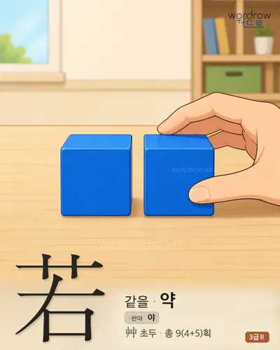 若 (같을 약) 썸네일