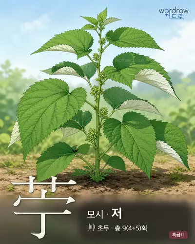 苧 (모시 저) - 특급Ⅱ 한자 일러스트 카드