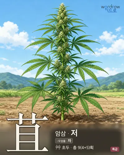 苴 연상 그림