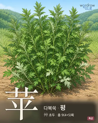 苹 (다북쑥 평) - 특급 한자 일러스트 카드